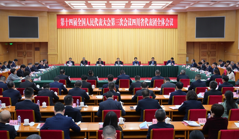 四川代表团举行全体会议 
推选王晓晖为团长 施小琳等为副团长「相关图片」