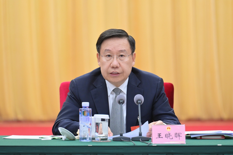 四川代表团举行全体会议 
推选王晓晖为团长 施小琳等为副团长「相关图片」