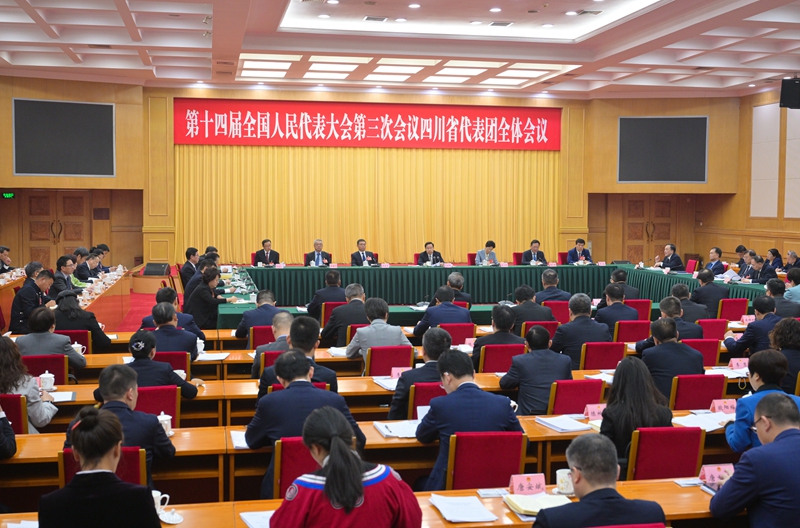四川代表团举行全体会议 
审议大会有关决议草案 
王晓晖主持并讲话 施小琳参加「相关图片」