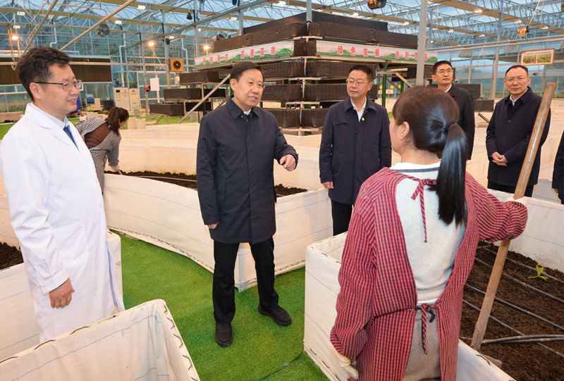 王晓晖在乐山市自贡市调研时强调
坚持干字当头狠抓各项部署落实
在推动高质量发展中展现新担当新作为「相关图片」